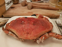 Metacarcinus magister du Restaurant de crabe Le Crabe Marteau à Brest - n°12