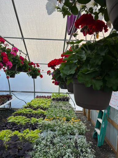 Florist «TG Designs», reviews and photos, 19231 Longmeadow Rd, Hagerstown, MD 21742, USA