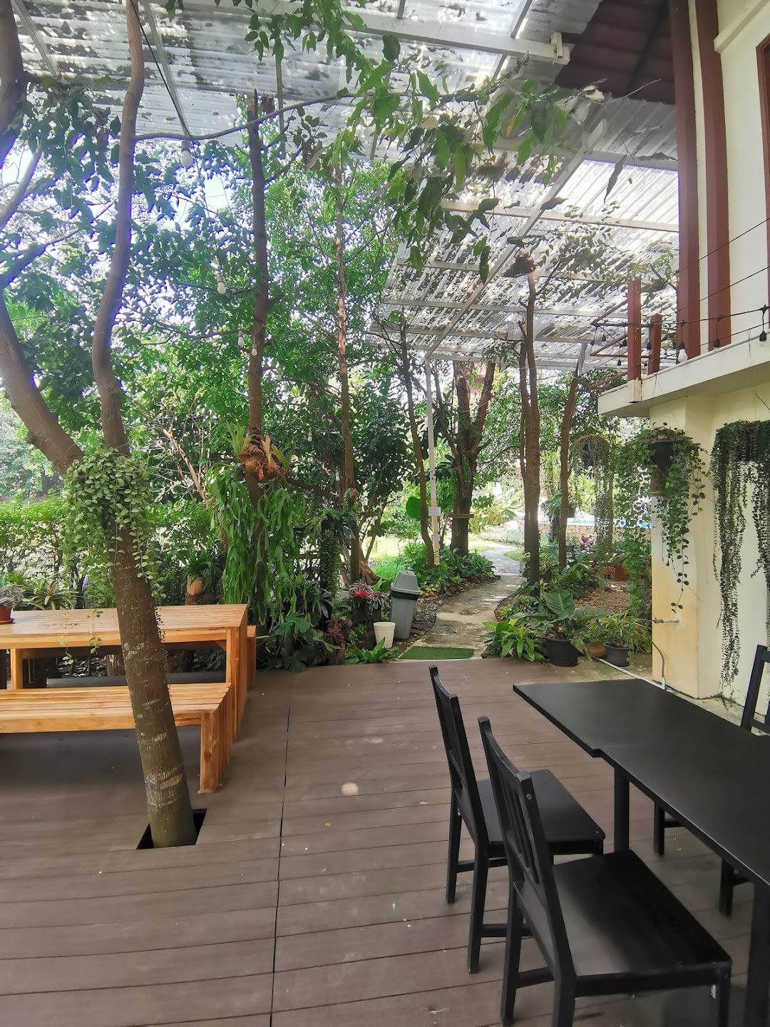Tree House Durian Cafe