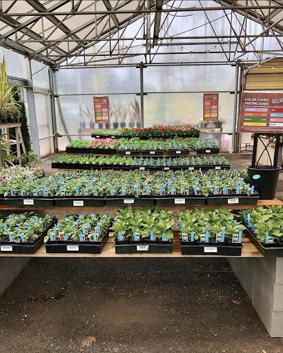 Florist «Milwaukie Floral and Garden», reviews and photos, 3306 SE Lake Rd, Milwaukie, OR 97222, USA