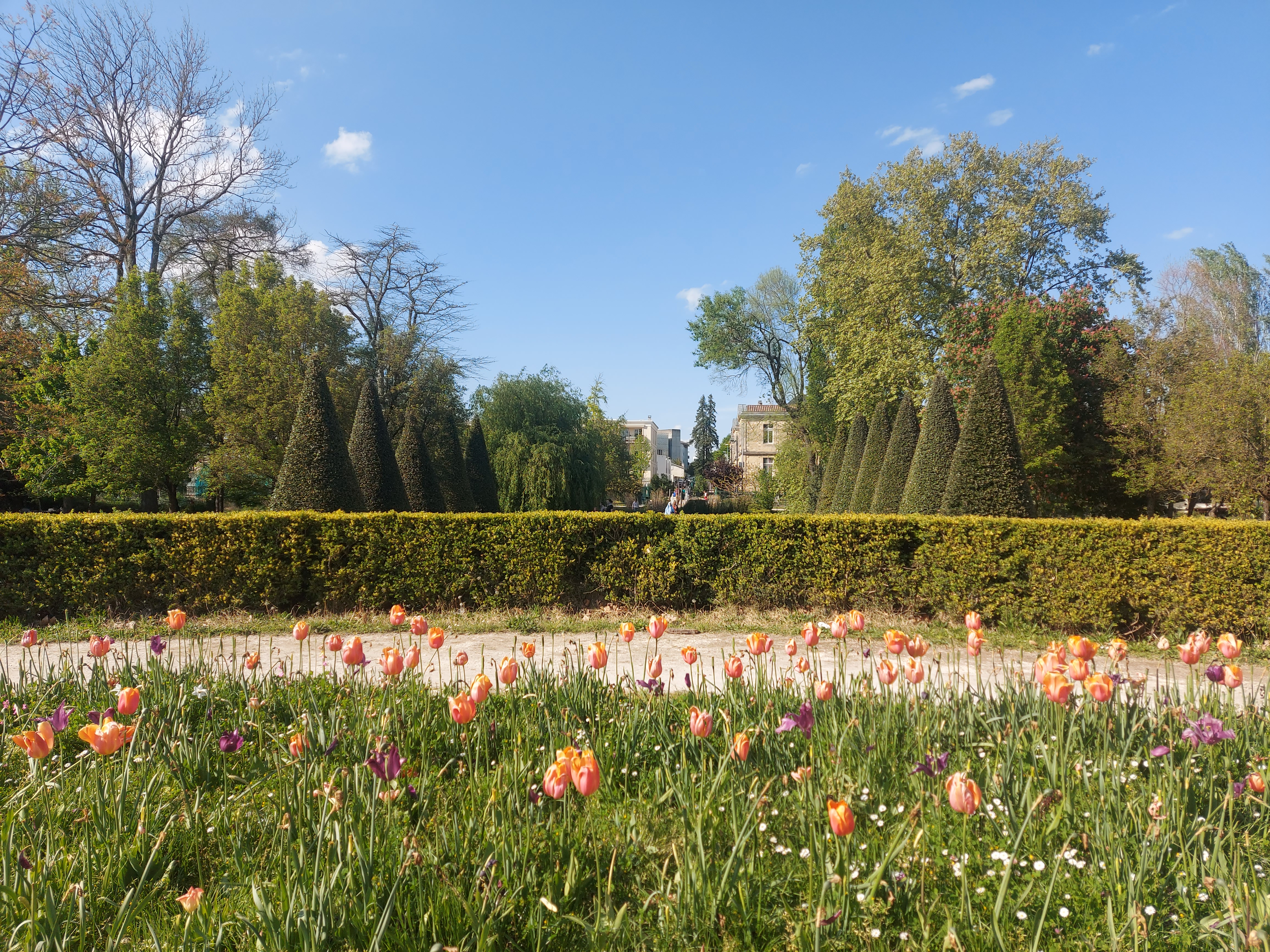 Photo n° 8 de l'avis de Sonia.a fait le 21/04/2023 à 12:55