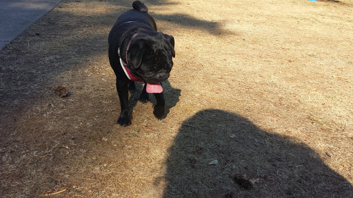 Park «Barton Park», reviews and photos, 19009 SE Barton Park Rd, Boring, OR 97009, USA