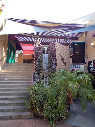 Coffee Shop «Starbucks», reviews and photos, 420 S Mill Ave #104, Tempe, AZ 85281, USA