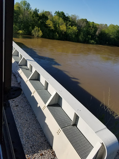 National Park «Congaree National Park», reviews and photos