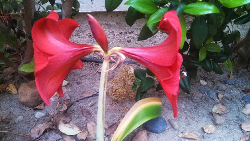 3959 30th St #104, San Diego, CA 92104, USA