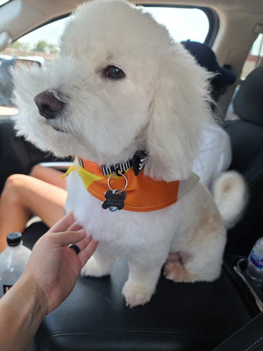 Pet Supply Store «PetSmart», reviews and photos, 2770 FM 365 c, Port Arthur, TX 77640, USA