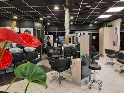Salon PASCAL COSTE à Le Muy