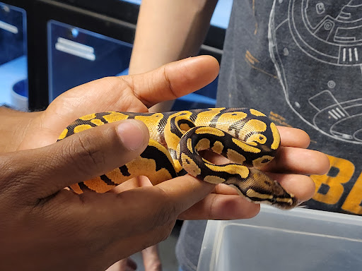 Pet Supply Store «Pet Bazaar», reviews and photos, 490 FL-436, Casselberry, FL 32707, USA