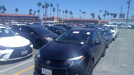 Auto Auction «Norwalk Auto Auction», reviews and photos, 12405 Rosecrans Ave, Norwalk, CA 90650, USA