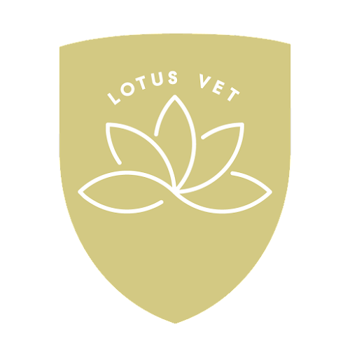Lotusvet Állatorvosi Rendelő - Állatorvos