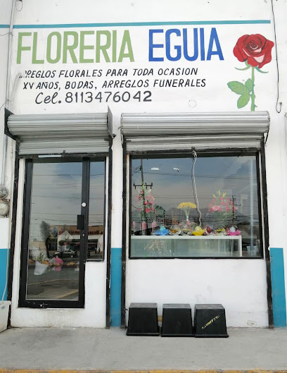 Florería Eguia sucursal sierra real