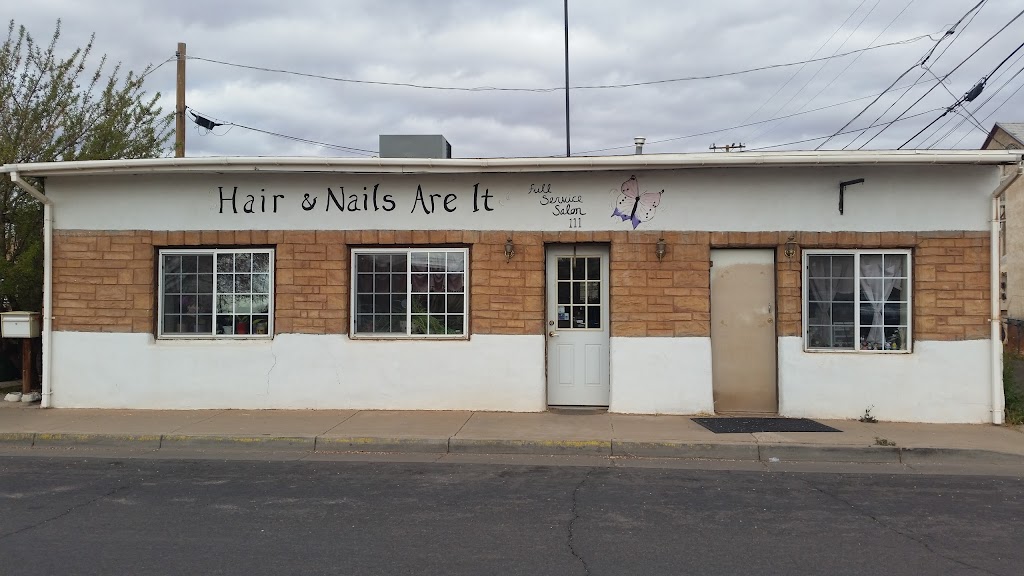 Hair & Nails Are It 86047