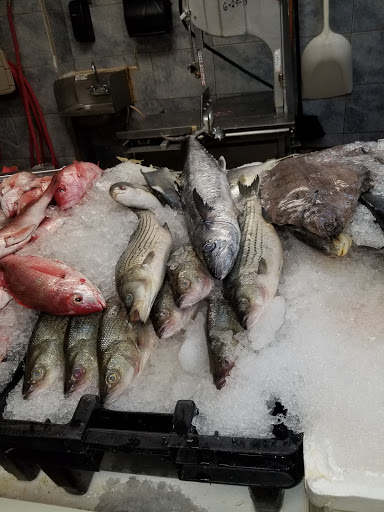 Seafood Market «Mekong Market», reviews and photos, 314 Broad St, Providence, RI 02907, USA