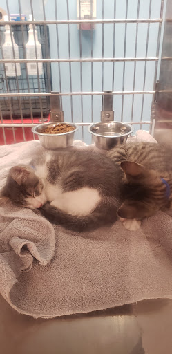 Pet Supply Store «PetSmart», reviews and photos, 13337 Worth Ave, Woodbridge, VA 22192, USA