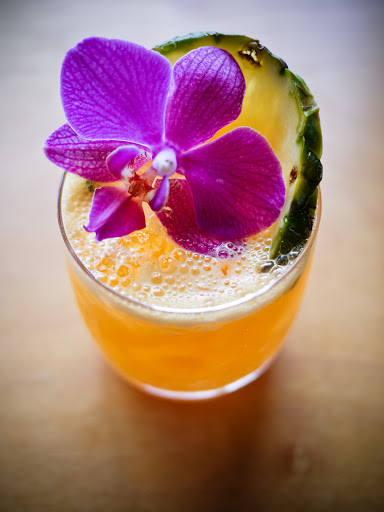 Cocktail Bar «Cardinal Spirits», reviews and photos, 922 S Morton St, Bloomington, IN 47403, USA