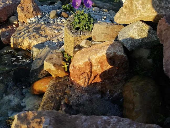 Értékelések erről a helyről: R'sWaterGarden, Győr - Kertészkedő