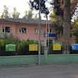 Pınar İlkokulu
