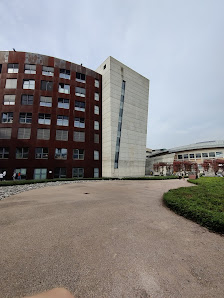 Università degli Studi di Brescia - Facoltà di Medicina e Chirurgia - Viale Europa, 11, 25123 Brescia BS, Italia