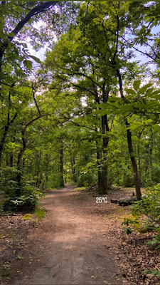Bois des Clayes à Les Clayes-sous-Bois
