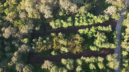 BIENES RAICES REAL ESTATE