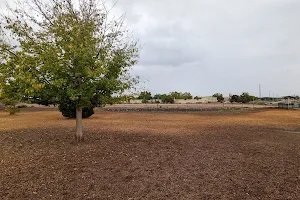 Ouray Dog Park image