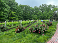 Lauren Rosella Fitness - Photo 6 - Car repair in , Raleigh