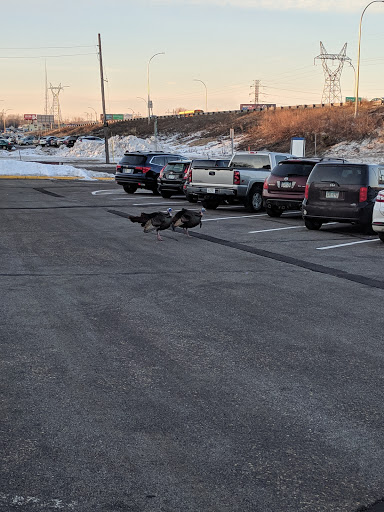 Metro transit Park and Ride