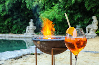 Plats et boissons du Château de Roussan Hotel Restaurant à Saint-Rémy-de-Provence - n°2