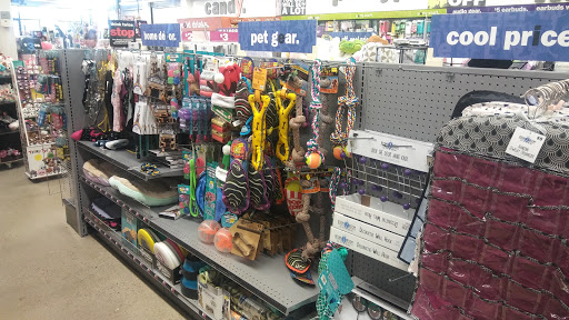 Variety Store «Five Below», reviews and photos, 14215 Hall Rd, Shelby Charter Township, MI 48315, USA