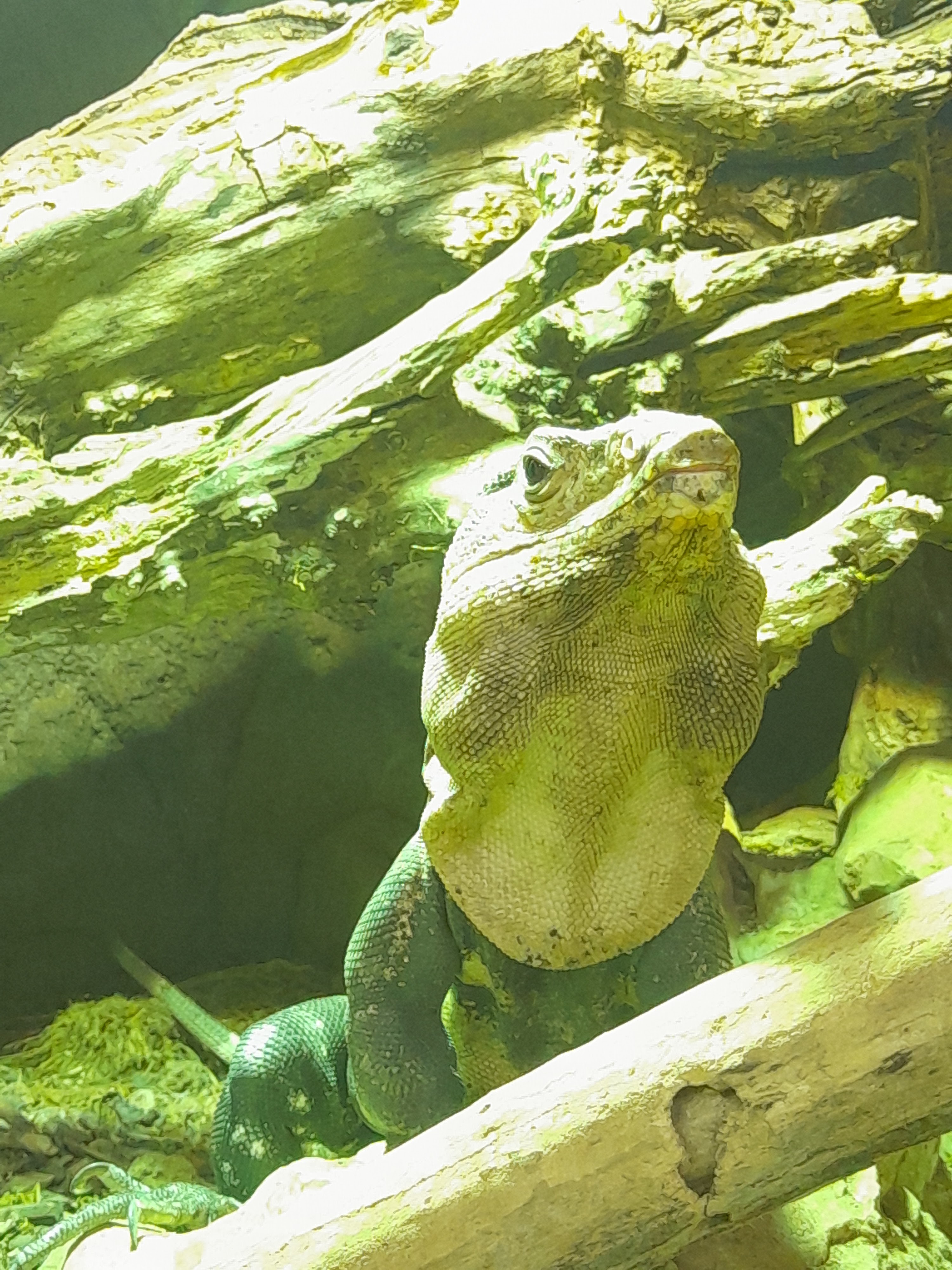 Photo n° 3 de l'avis de Cléo.a fait le 19/07/2022 à 15:45