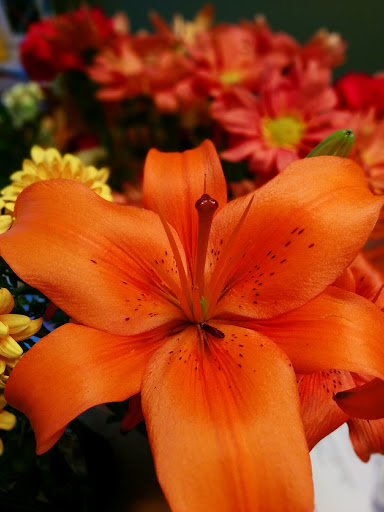 Florist «Kern Park Flower Shoppe», reviews and photos, 6713 SE Holgate Blvd, Portland, OR 97206, USA