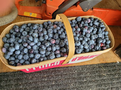 Dietrich Blueberries