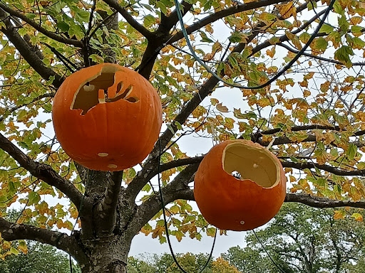 Park «Paulus Park», reviews and photos, 200 S Rand Rd, Lake Zurich, IL 60047, USA