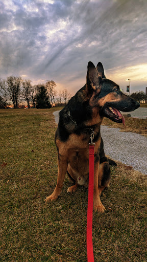 Shopping Mall «Merritt Park Shopping Center», reviews and photos, 1762 Merritt Blvd, Dundalk, MD 21222, USA