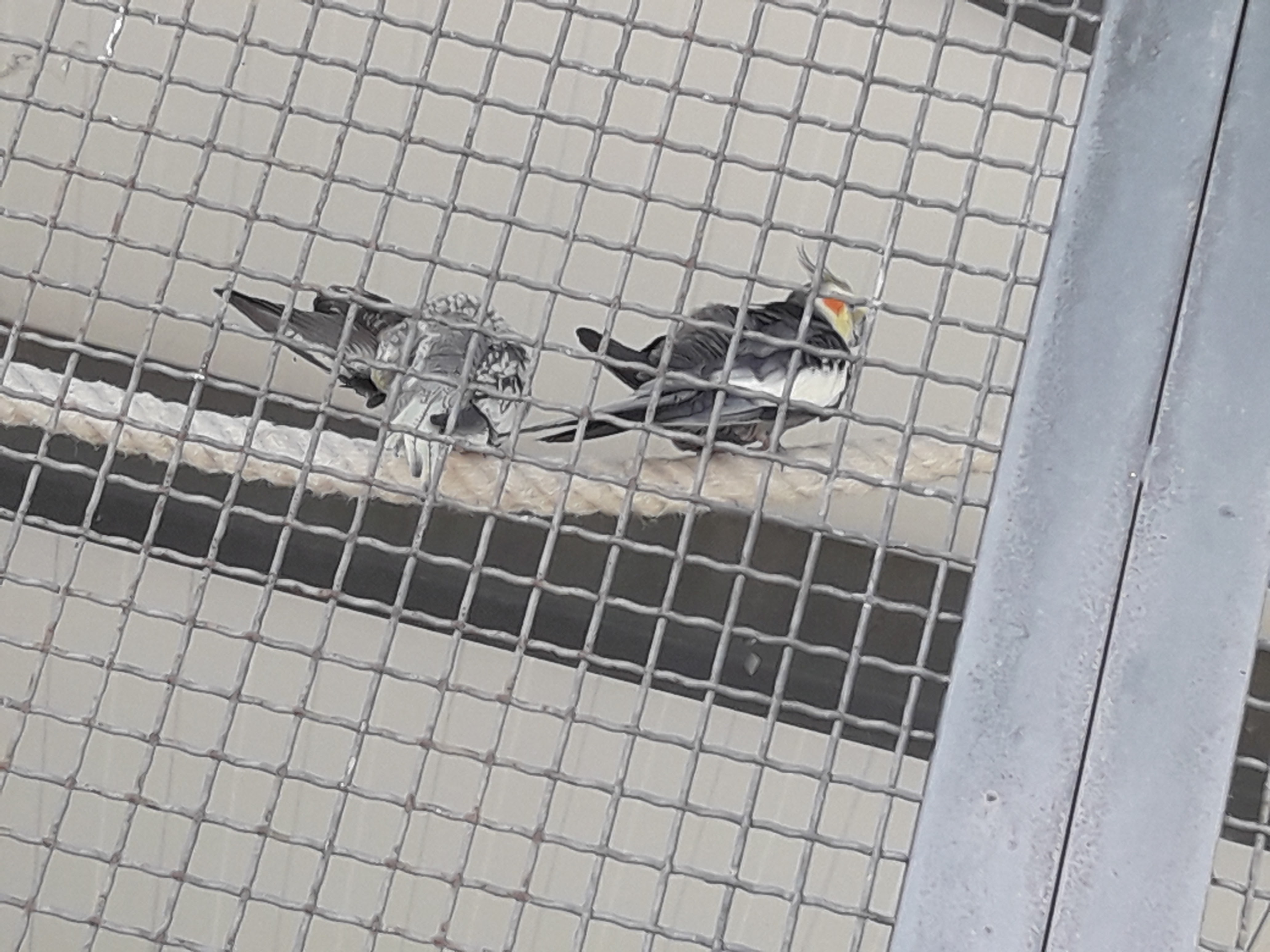 Photo n° 15 de l'avis de Lionel.a fait le 29/06/2019 à 10:44