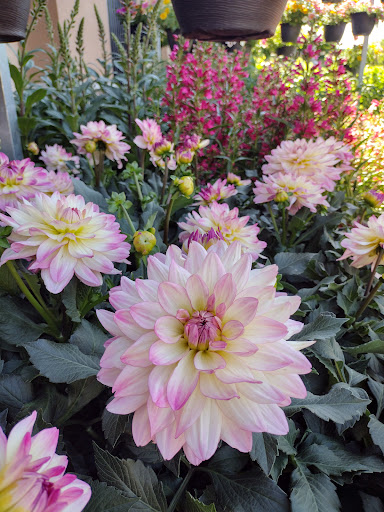 Home Improvement Store «The Home Depot», reviews and photos, 4401 SW 110th Ave, Beaverton, OR 97005, USA