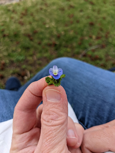 Museum «Montpelier Mansion», reviews and photos, 9650 Muirkirk Rd, Laurel, MD 20708, USA