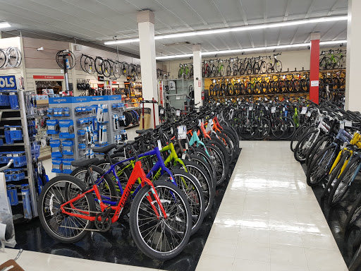 Bicycle Store «Orange Cycle», reviews and photos, 2204 Edgewater Dr, Orlando, FL 32804, USA