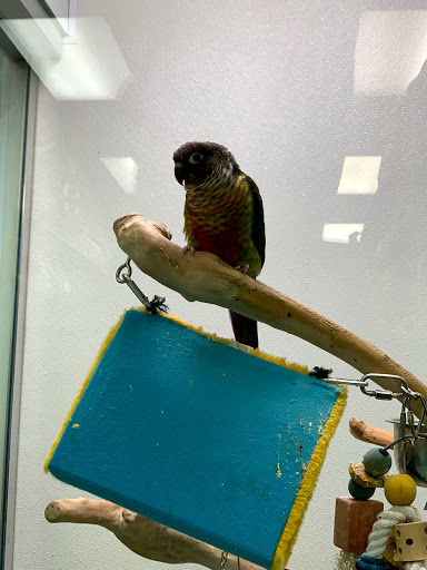 Pet Store «Petland Discounts - Derby», reviews and photos, 49 State Rte 727 # 12, Derby, CT 06418, USA