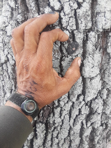 Mexican Restaurant «La Oaxaqueña Taqueria and Grocery Store», reviews and photos, 2795 Davis Blvd, Naples, FL 34104, USA