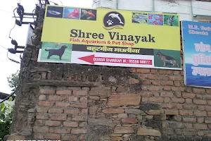 Shree Vinayak Fish Aquarium & PET SHOP image