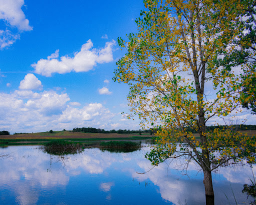 Nature Preserve «Crabtree Nature Center», reviews and photos, 3 Stover Rd, Barrington, IL 60010, USA