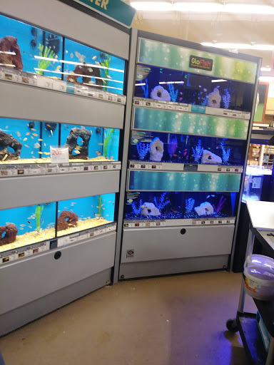 Pet Supply Store «Petco Animal Supplies», reviews and photos, 1350 S Ironton St #120, Aurora, CO 80012, USA
