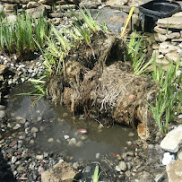 Fish Geeks aquarium maintenance - Photo 4 - Car repair in Mechanicsburg, PA, Harrisburg