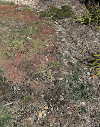 BrightView Landscapes - Photo 9 - Car repair in Colorado Springs, CO, Colorado Springs