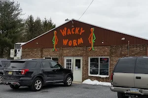 Wacky Worm Inc image