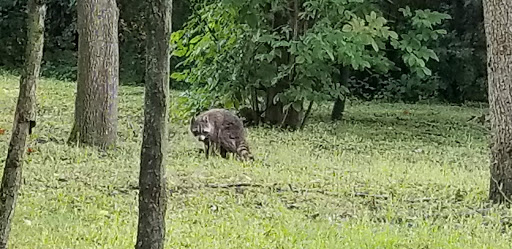 Golf Club «Bartlett Hills Golf Club», reviews and photos, 800 W Oneida Ave, Bartlett, IL 60103, USA