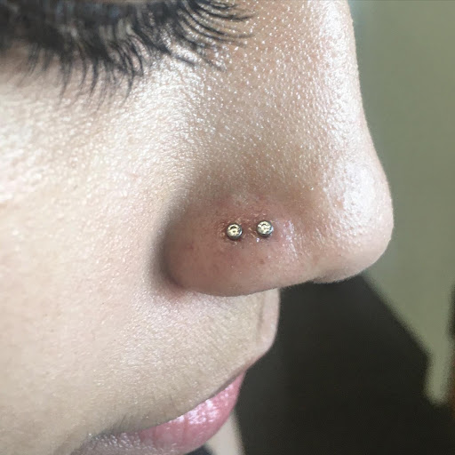 Explore seagull tattoo ideas, creative tattoo ideas in Twin Falls, available at Pinpoint Body Piercing