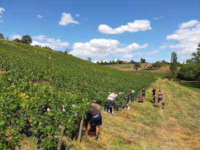 Domaine Cédric Vincent à Porte des Pierres Dorées