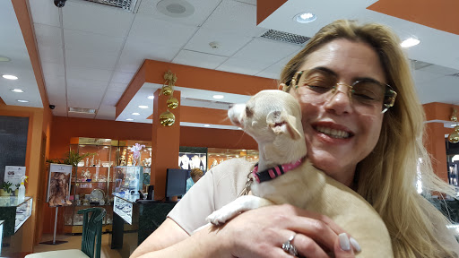 Jeweler «Somerton Jewelers», reviews and photos, 10853 Bustleton Ave, Philadelphia, PA 19116, USA